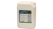 Přejít na článek