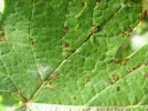 Přejít na článek
