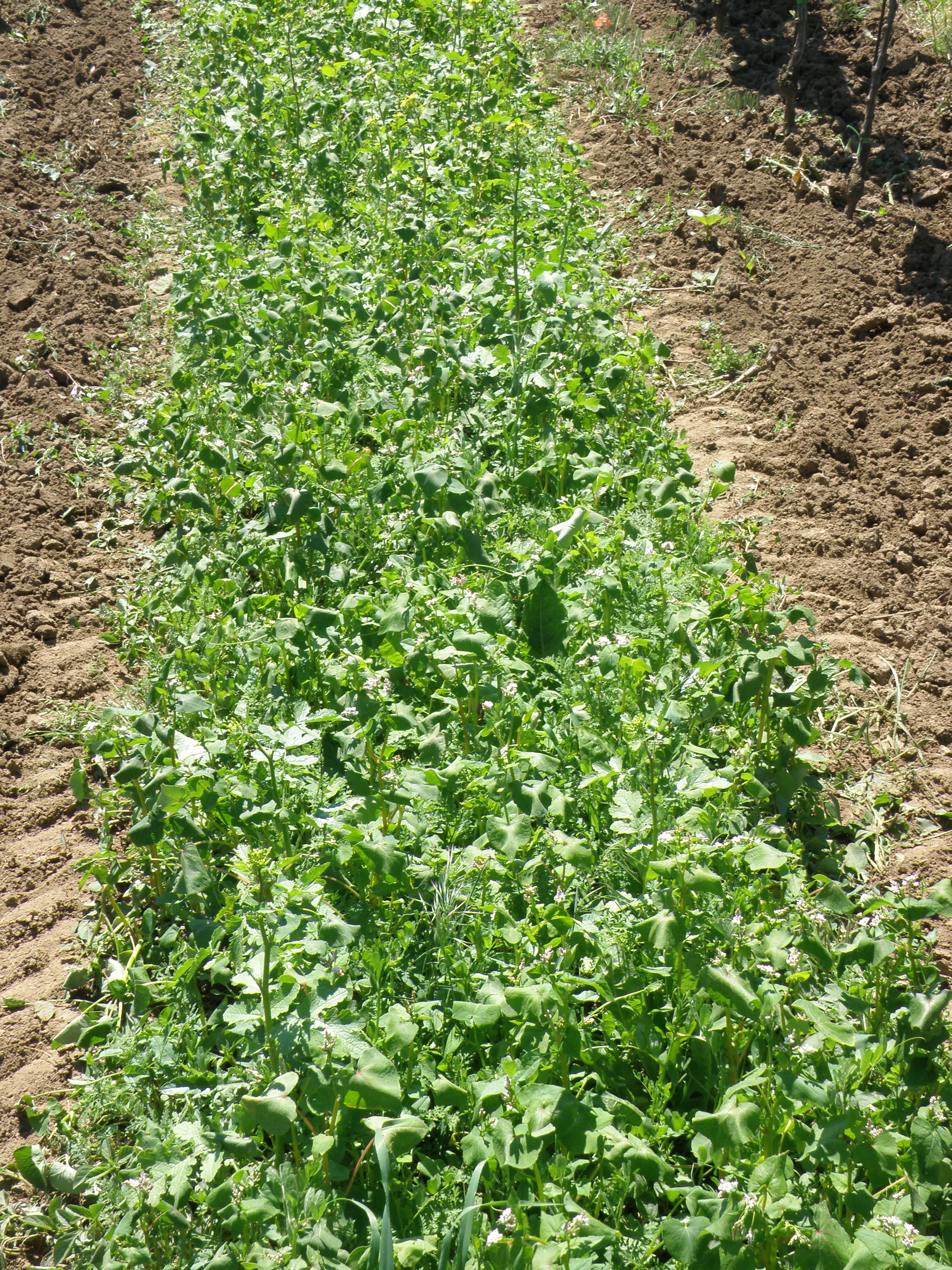 Obrázek 3a